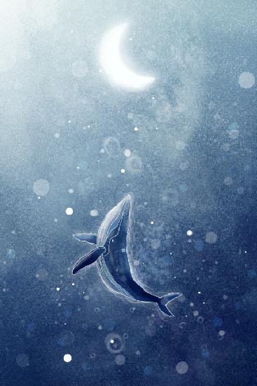 Galaxy Whale