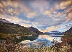 Morning Delight at Lake Hawea