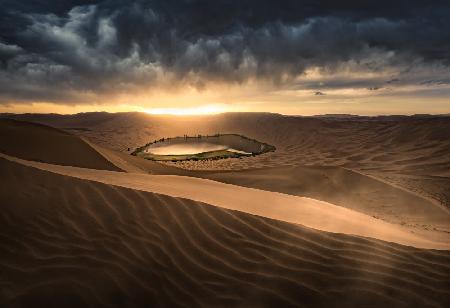 Thunderstorm in the Desert