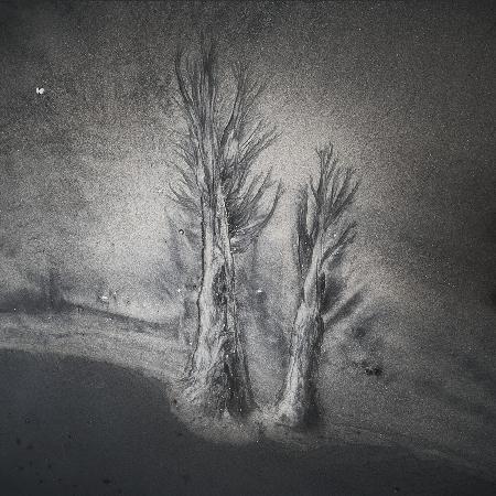 Evanescent trees