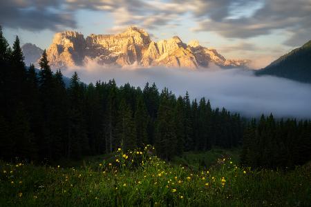 Golden Peaks