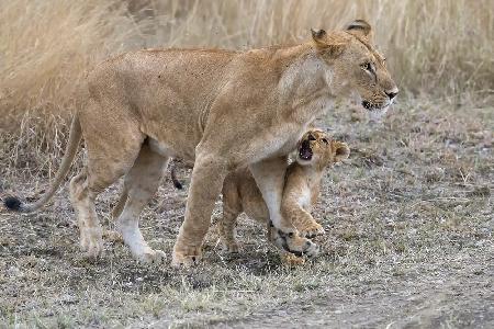 Listen to me... Mom!